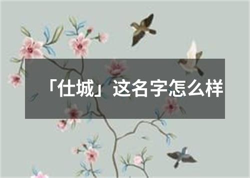 「仕城」这名字怎么样