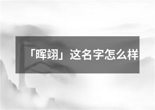 「晖翊」这名字怎么样