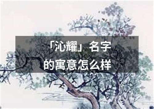 「沁耀」名字的寓意怎么样