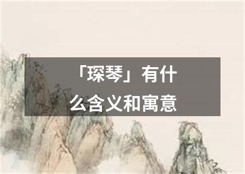 「琛琴」有什么含义和寓意