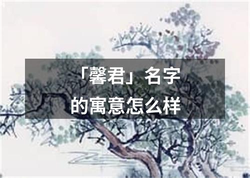 「馨君」名字的寓意怎么样