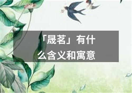 「晟茗」有什么含义和寓意