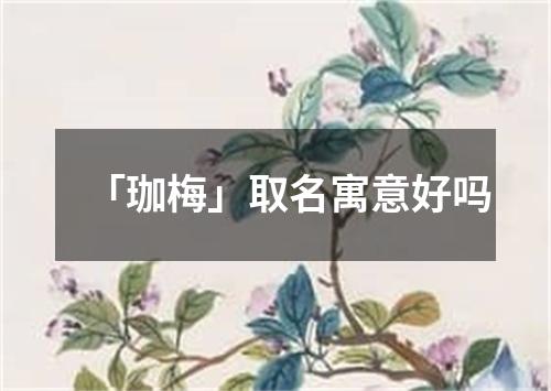 「珈梅」取名寓意好吗