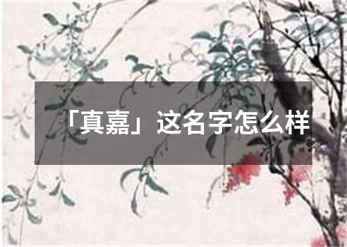 「真嘉」这名字怎么样