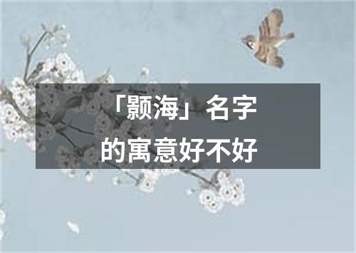 「颢海」名字的寓意好不好