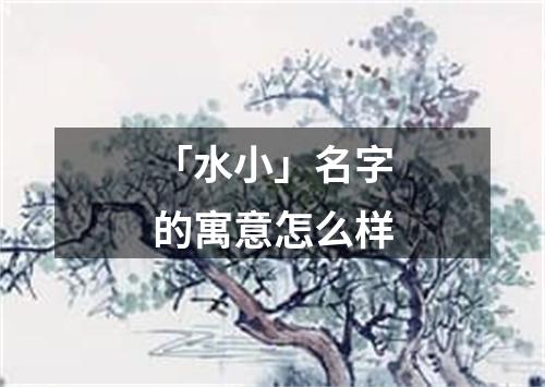 「水小」名字的寓意怎么样