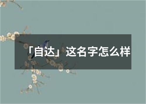 「自达」这名字怎么样