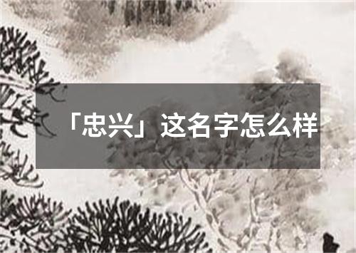 「忠兴」这名字怎么样