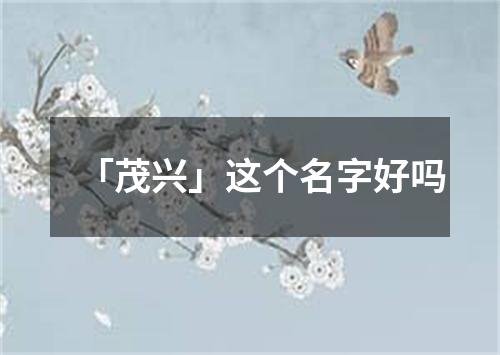 「茂兴」这个名字好吗