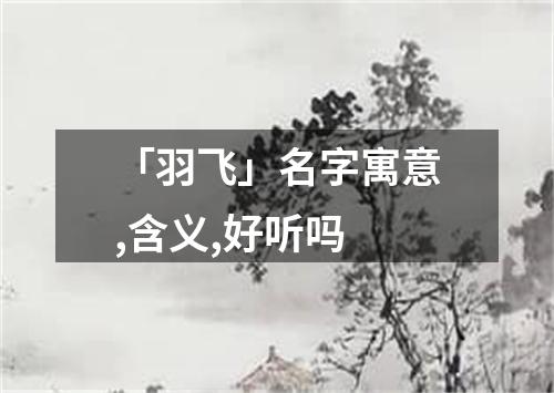 「羽飞」名字寓意,含义,好听吗