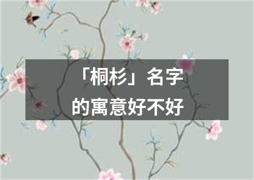 「桐杉」名字的寓意好不好