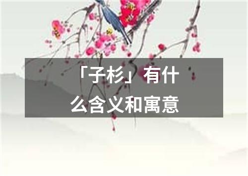 「子杉」有什么含义和寓意