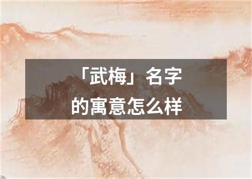 「武梅」名字的寓意怎么样