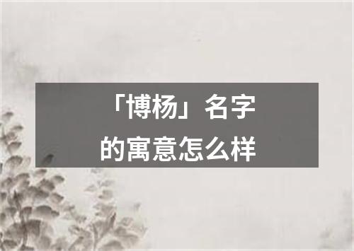 「博杨」名字的寓意怎么样