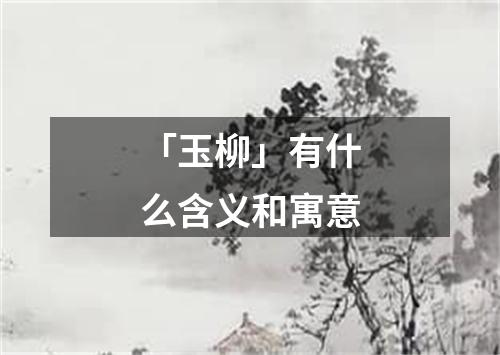 「玉柳」有什么含义和寓意