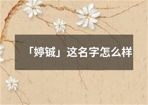 「婷铖」这名字怎么样