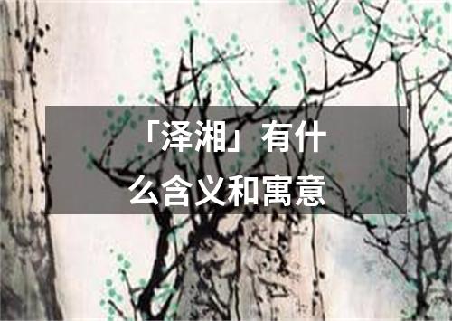 「泽湘」有什么含义和寓意