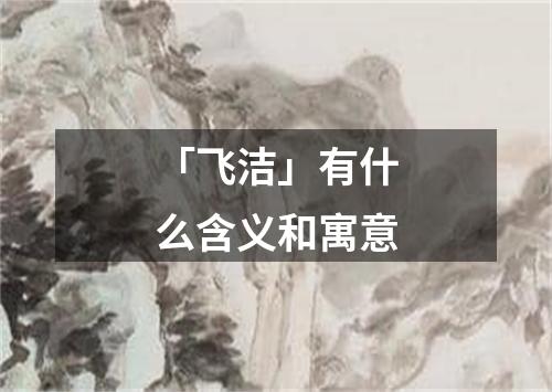 「飞洁」有什么含义和寓意