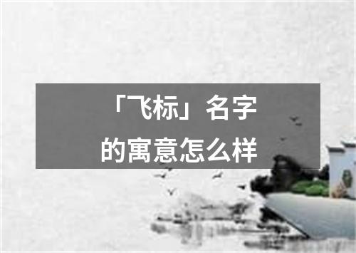 「飞标」名字的寓意怎么样