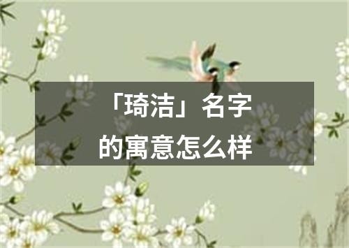 「琦洁」名字的寓意怎么样