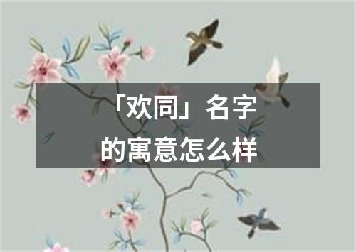 「欢同」名字的寓意怎么样