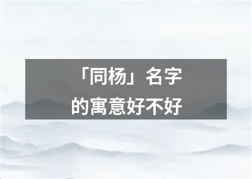 「同杨」名字的寓意好不好