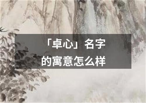 「卓心」名字的寓意怎么样