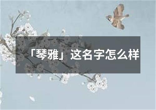 「琴雅」这名字怎么样