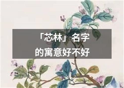 「芯林」名字的寓意好不好