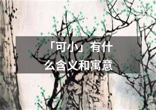 「可小」有什么含义和寓意