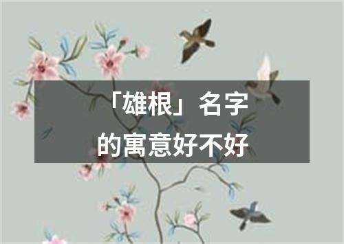 「雄根」名字的寓意好不好