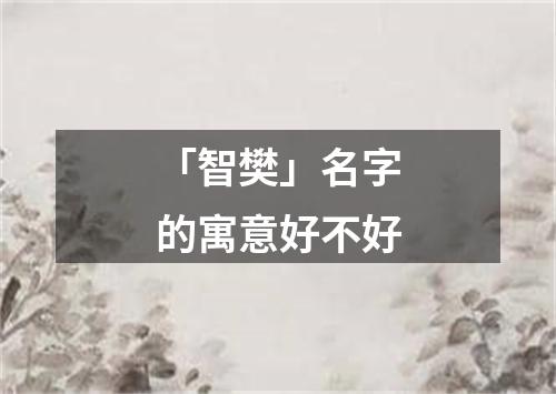 「智樊」名字的寓意好不好