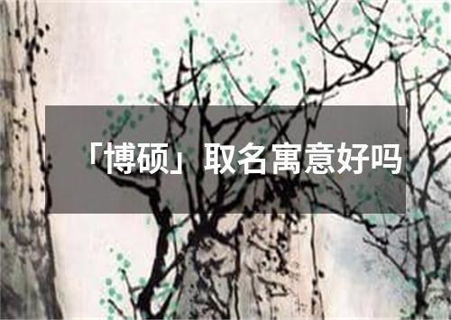 「博硕」取名寓意好吗