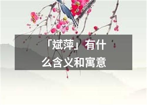 「斌萍」有什么含义和寓意