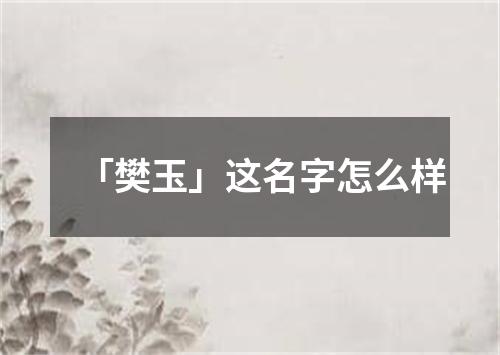 「樊玉」这名字怎么样