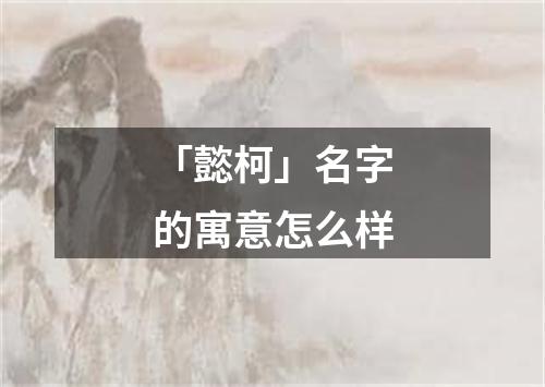 「懿柯」名字的寓意怎么样