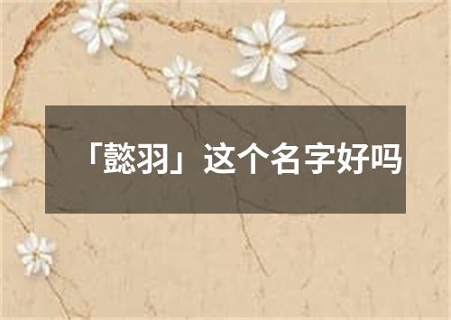 「懿羽」这个名字好吗