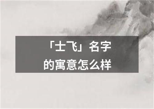 「士飞」名字的寓意怎么样