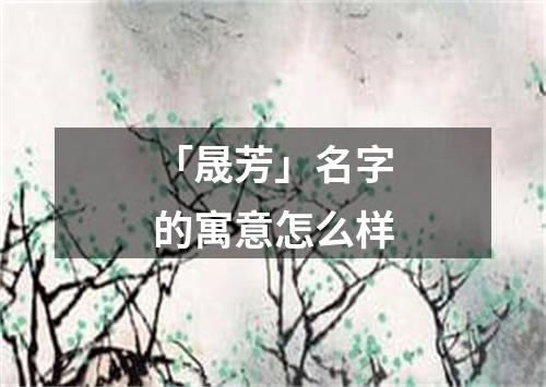 「晟芳」名字的寓意怎么样