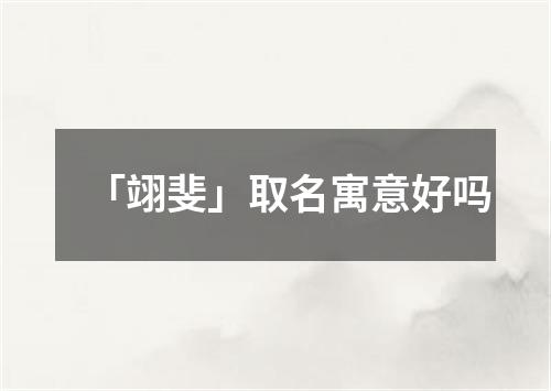 「翊斐」取名寓意好吗