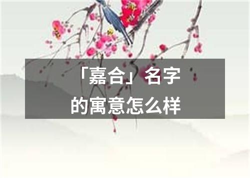 「嘉合」名字的寓意怎么样