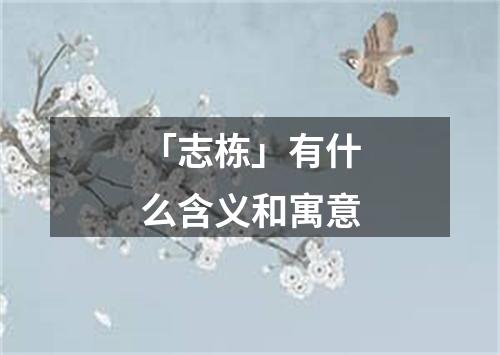 「志栋」有什么含义和寓意