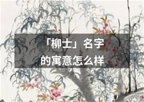 「柳士」名字的寓意怎么样