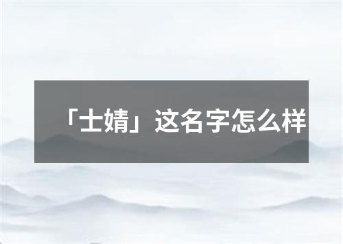 「士婧」这名字怎么样