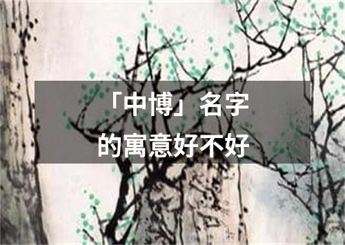 「中博」名字的寓意好不好