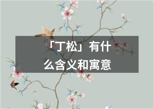 「丁松」有什么含义和寓意