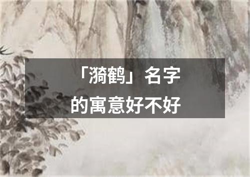 「漪鹤」名字的寓意好不好