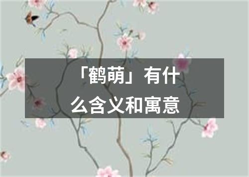 「鹤萌」有什么含义和寓意