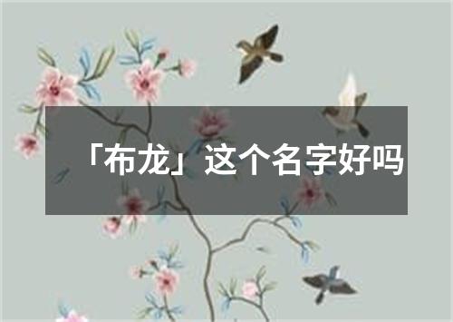 「布龙」这个名字好吗