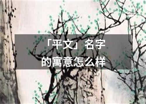 「平文」名字的寓意怎么样